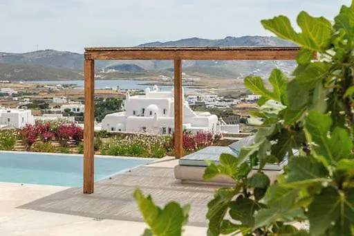 Aura A Story To Tell *